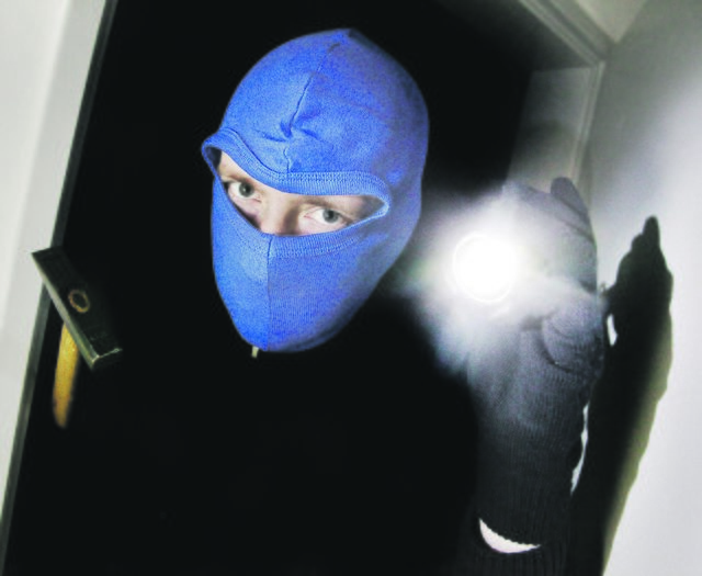 Eine Einbruchsserie in Marler Gartenlauben versucht die Polizei aufzuklären.
