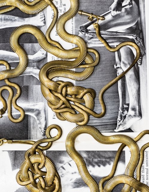 Das Werk "Epimorpha" (2019) zeigt die ungewöhnliche Arbeit der jungen Künstlerin.