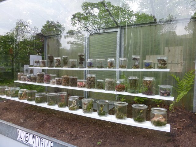 Kunstvitrine - kleinste Galerie Duisburgs - so fing alles an