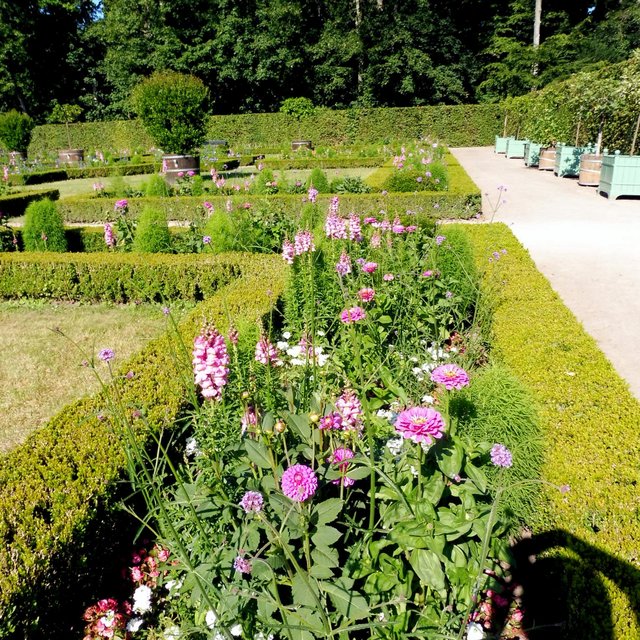 Blütenpracht im Garten an der Orangerie Schlosspark Benrath Düsseldorf