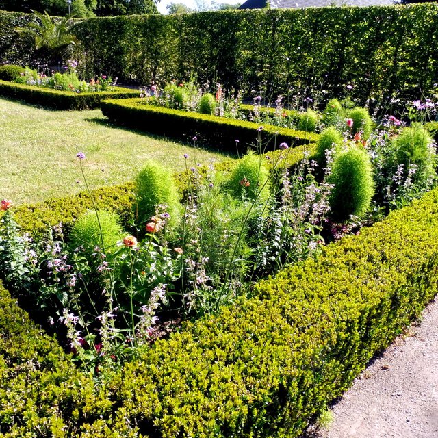 Blütenpracht im Garten an der Orangerie Schlosspark Benrath Düsseldorf