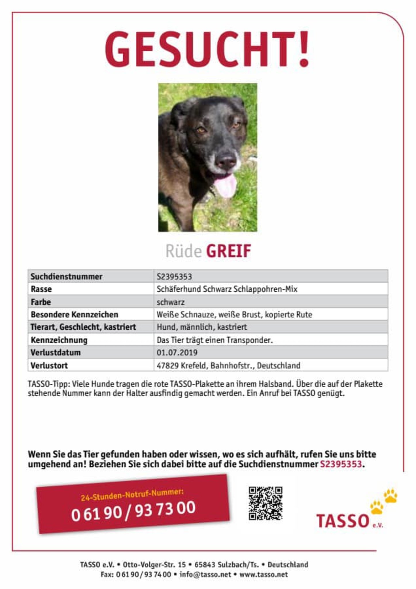 5 Juli Krefeld Uerdingen Durch Den Einsatz Von Zwei Tiersuchhunden Konnte Der Tierschutzhund Greif Nach 4 Tagen Vor Dem Sicheren Tod Gerettet Werden Wenn Kleine Hunde Zu Helden Werden