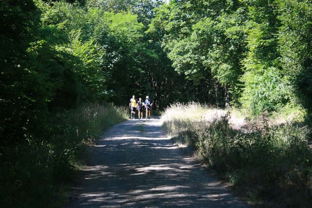 Auf dem Weg zur Kalenborner Höhe