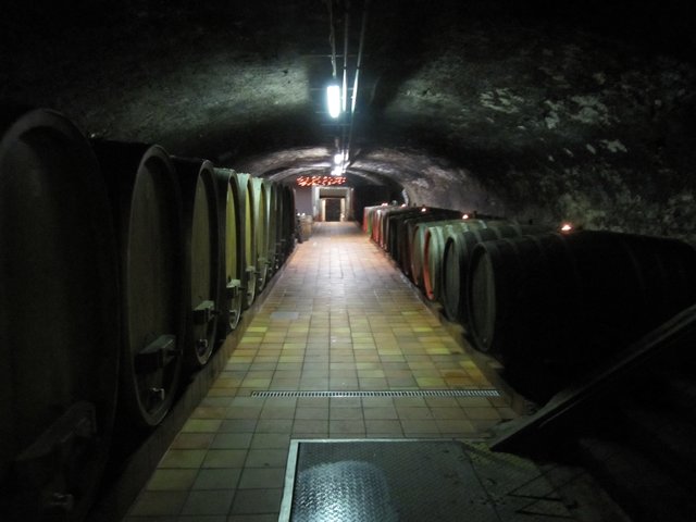 Weinkeller Waldporzheim!