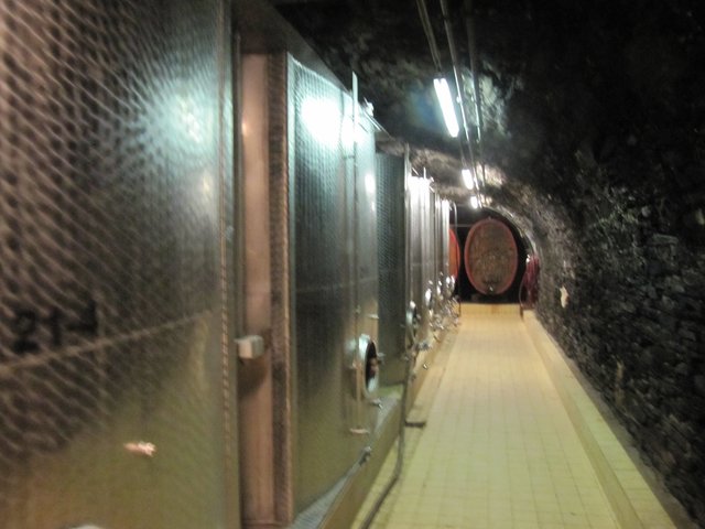 Weinkeller Waldporzheim!