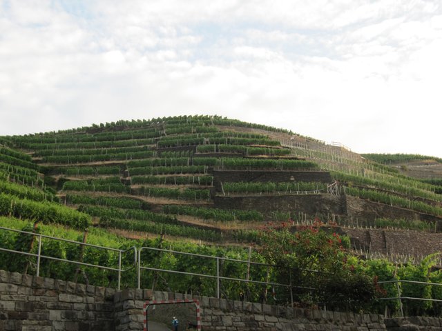 Weinberge!