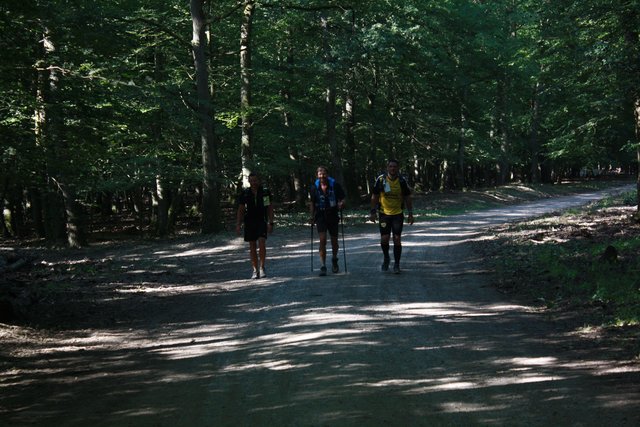 Schatten, wie schön!