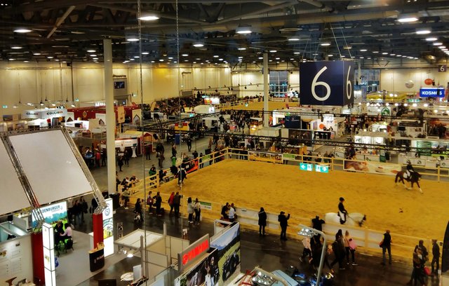 Gratiseintrittskarten für Aufsichtsräte der Messe Essen, hier die Equitana, waren ein Streitthema de rletzten Ratssitzung. Sicher sollten Mitglieder im Messeaufsichtsrat auch darüber informaiert sein, was sich unter den diversen Veranstaltungen des jährlichen Messeprogramms so alles abspielt. Nach dieser Logik müssten dann aber Mitglieder im Kulturausschuss auch gratis leseausweise der Stadtbücherei erhalten oder die Kolleg*innen im Sportausschuss freien Eintritt in den Frei- und Hallenbädern - was alles nicht der Fall und auch nciht beantragt wurde.