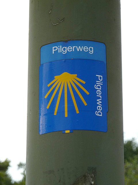 Immer mehr Pilger lassen sich Pilger-Tattoos stechen. Ein beliebtes Motiv ist dabei die Jakobsmuschel.