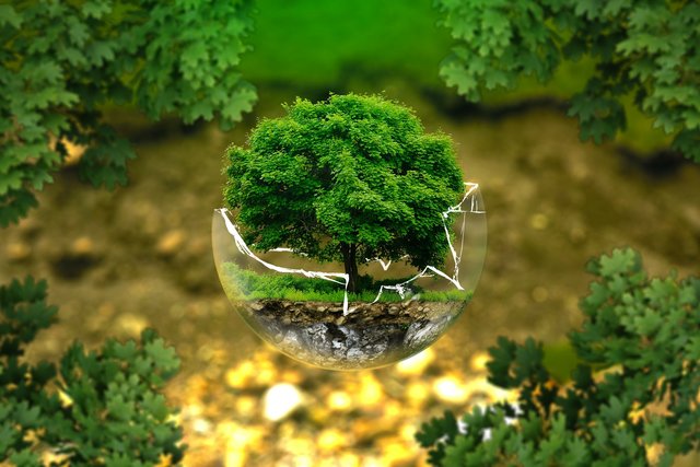 Foto: ejaugsburg/ pixabay.