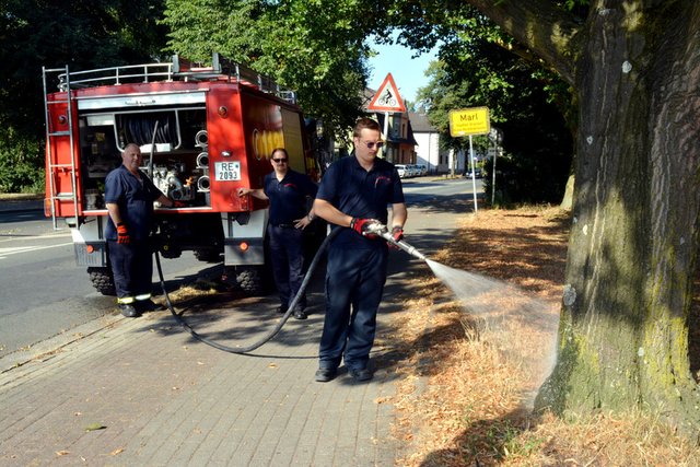 Die freiwillige Feuerwehr hilft bei der Bewässerung der Bäume