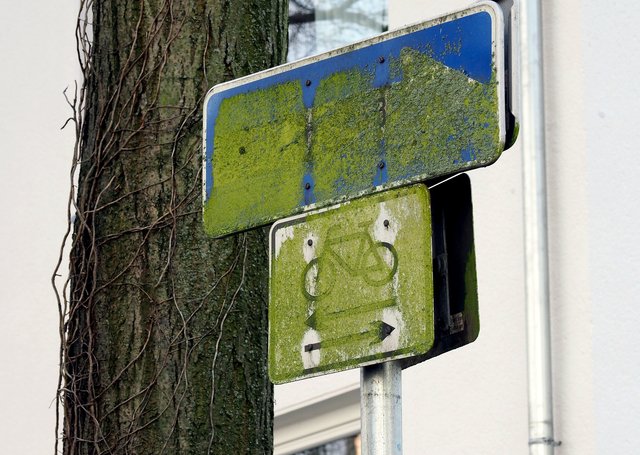 Grün ist immerhin das Moos, das sich auf langsam auf die Verkehrsschilder legt... Lösung: Hier handelt es sich um einen Radweg und eine Einbahnstraße.