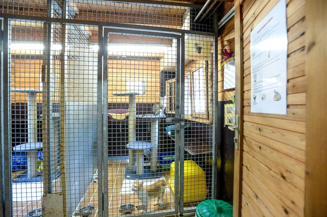 Das Holzhaus für die Katzen ist das größte Sorgenkind. Das soll sich nun bald ändern.