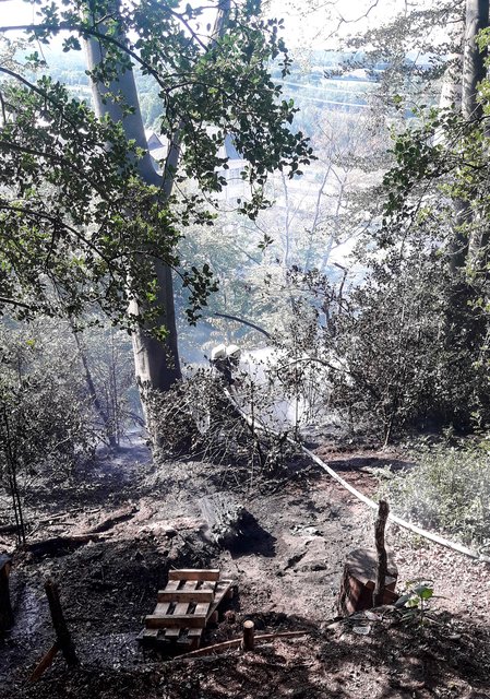 Waldbrand in Bochum