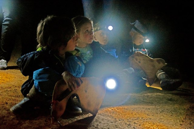 Mutig genug waren auch diese kleinen Matrosen auf Schatzsuche. | Foto: Nina Sikora