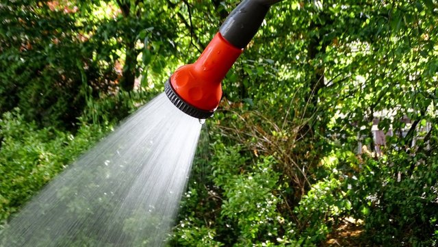 Kostenfrei Wasser entnehmen, um den Bäumen und der Natur durch die Trockenzeit zu helfen, können Bürger an den insgesamt fünf Standrohren, die kürzlich von der Stadtwerke Wesel und ASG installiert wurden.