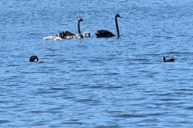 Familienglück auf See.