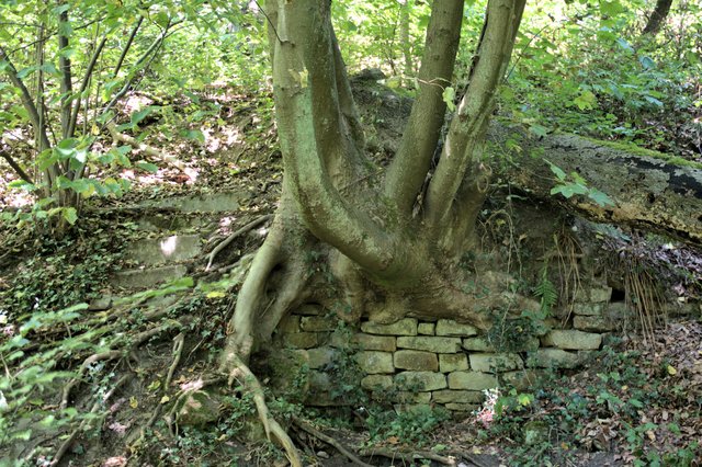  Eine Mauer der ehemaligen Zeche Pörtingsiepen.