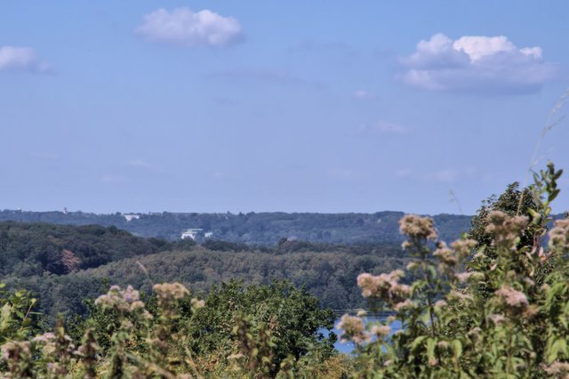 Blick Richtung Villa Hügel.