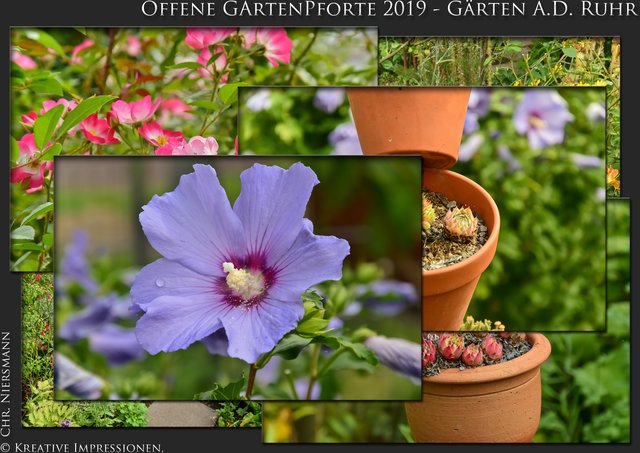 32+ Gärten An Der Ruhr 2019, 52 gärten in neun kommunen öffnen