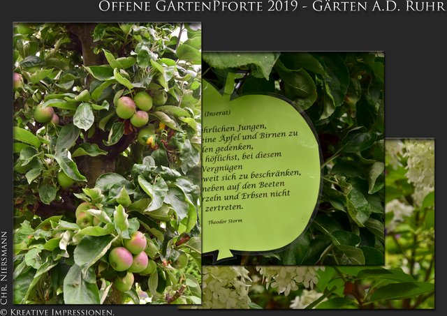Offene GartenPforte 2019 Gärten a.d. Ruhr Romantischer