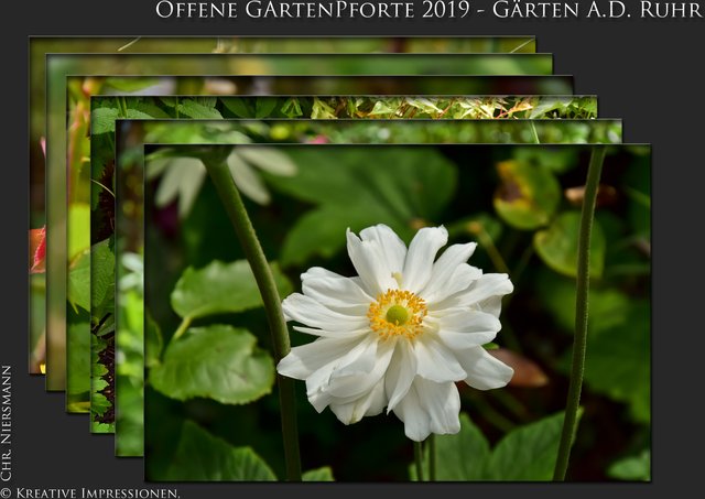 Offene GartenPforte 2019 Gärten a.d. Ruhr Romantischer