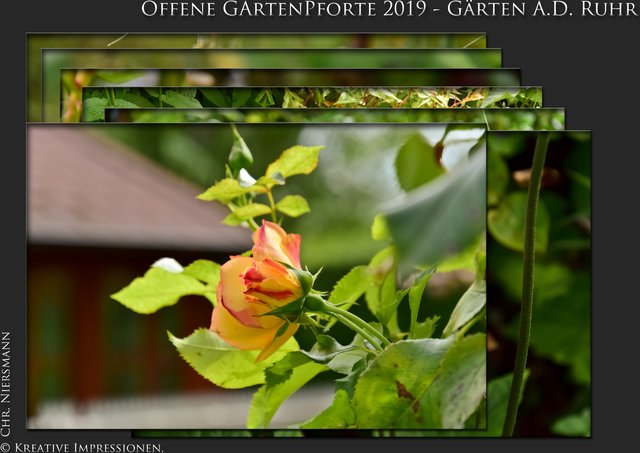 50+ Gärten An Der Ruhr 2019, Schauen sie sich bewertungen und fotos