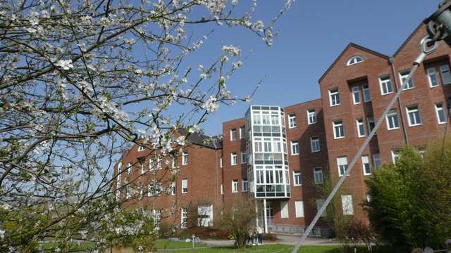 Im Kurler St.-Elisabeth-Krankenhaus - hier in der Ansicht vom Sinnesgarten aus - werden Gesundheits- und Pflegeschüler*innen der Katholischen St.-Johannes-Gesellschaft vier Wochen lang die Station 2 leiten.