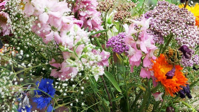 Die Anlegung einer bunten Blumenwiese schlägt Manfred Schlüter vor.