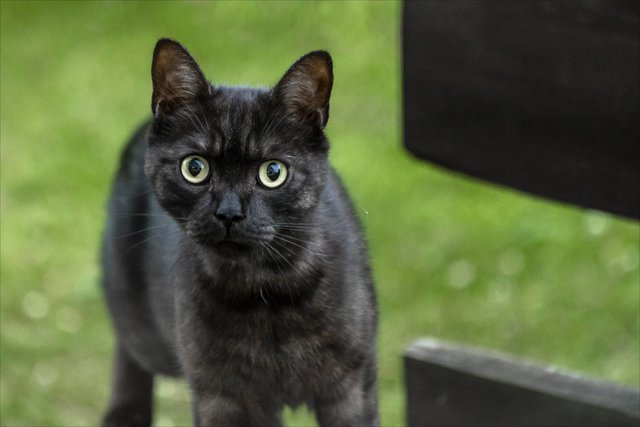 Ich denke, ihr Schreckmoment spiegelt sich in ihren Augen wider. | Foto: © Regine Hövel 2019