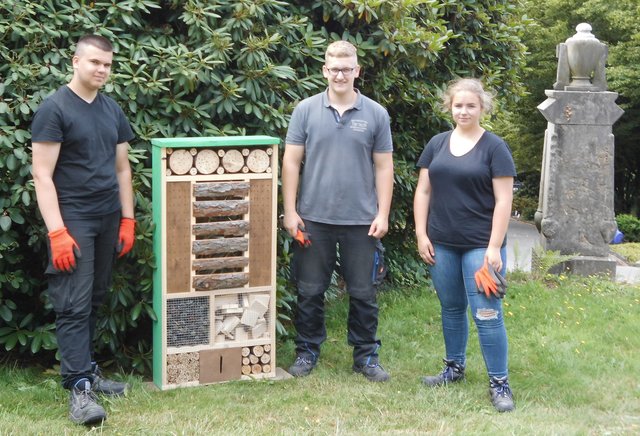 Maurice Bouillon, Tom Friedel, Hanna Poethke haben ein Insektenhotel im Park der Ruhe aufgestellt.