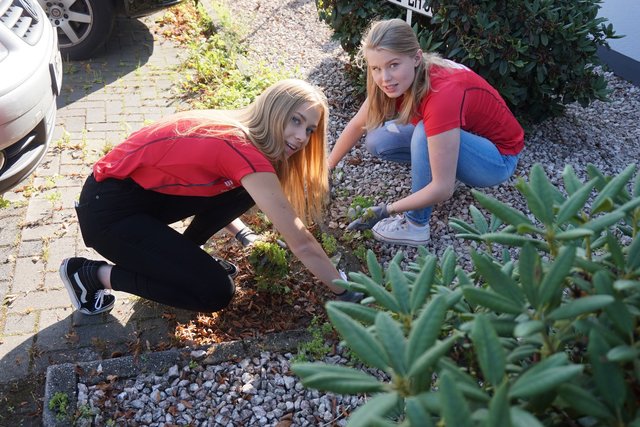 Nina Szauer und Laura Wischmeier (v.l.n.r.) rücken dem Unkraut zuleibe.