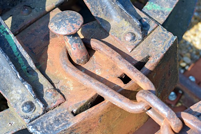 Foto: Monika Hartmann