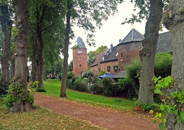 Ambiente des Gemeinschaftsgartens 