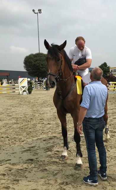 Klaus-Otte Wiese vom Reitverein Hellefeld mit Coco Magic.