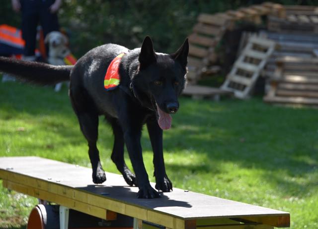 Foto: © 2019 Karl Heinz Lehnertz