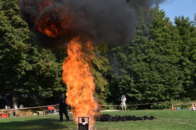 Foto: © 2019 Karl Heinz Lehnertz