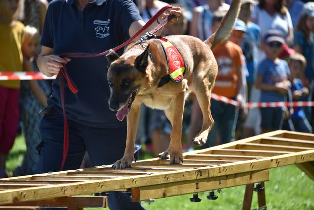 Foto: © 2019 Karl Heinz Lehnertz