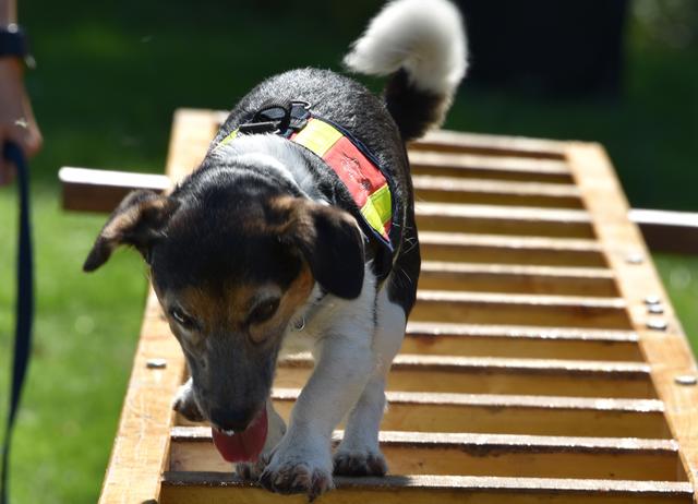 Foto: © 2019 Karl Heinz Lehnertz