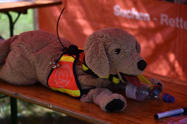 Foto: © 2019 Karl Heinz Lehnertz