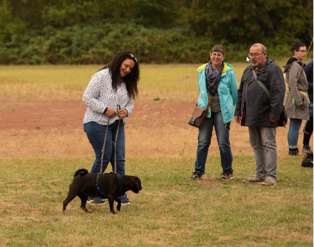 Sowohl Hund als auch Hundehalter werden von Hundetrainerin Claudia Panter geschult.