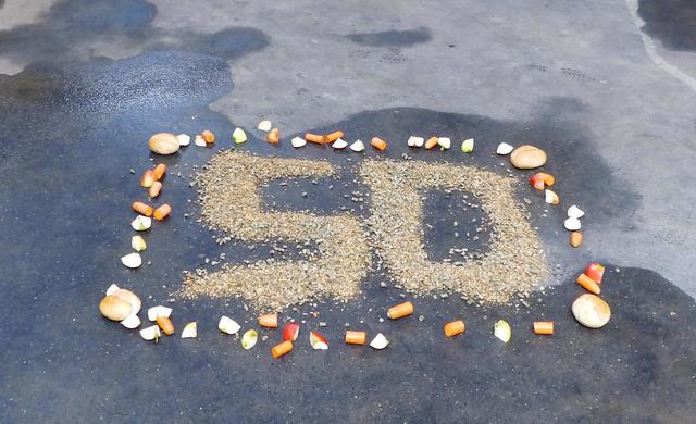 Foto: Andreas Klinke