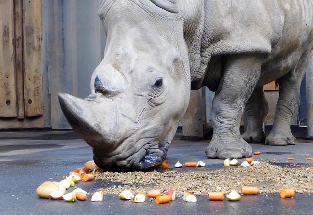 Foto: Andreas Klinke