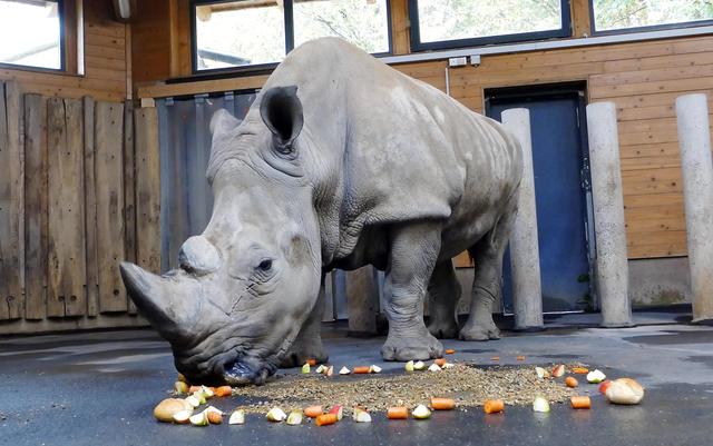 Foto: Andreas Klinke