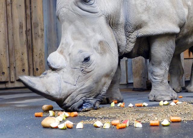 Foto: Andreas Klinke