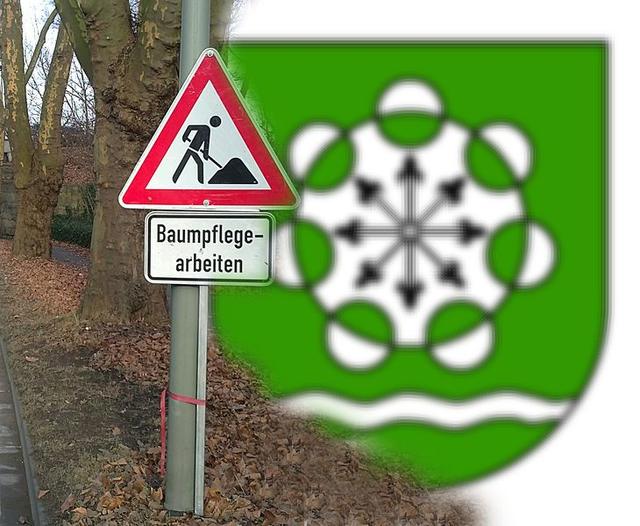 Ab Montag, 14. Oktober: Baumpflegearbeiten an der Güterstraße in Hamminkeln.