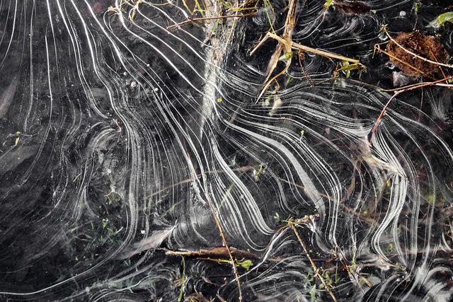 Noch bis Sonntag, 13. Oktober läuft die Ausstellung „Natur“ im Haus Hildener Künstler, Hofstraße 6. Zu sehen sind Fotografien von Harold Augustin und Miniaturobjekte von Lidia B. Gordon.