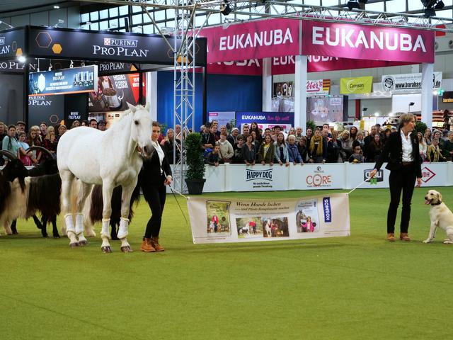 Hund Und Pferd Messe Dortmund 2019