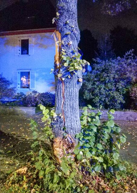 Gespalteter Baum musste gefällt werden