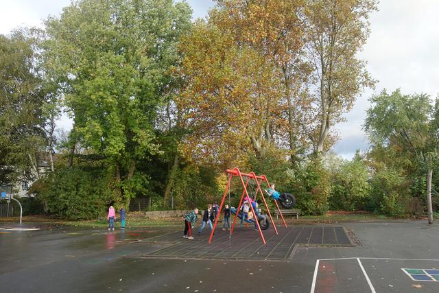 Entsetzen! Drei schattengebende Platanen auf dem Schulhof Heinrich Strunk Schule, hinter der Bank, sollen gefällt werden!